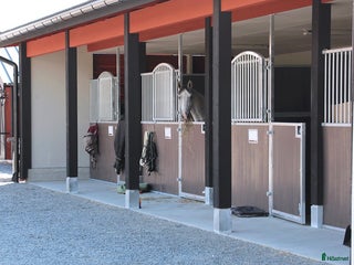 stallplats finnes: Ledig stallplats i höst på Stall Fågelbro! i Värmdö - Annons 2