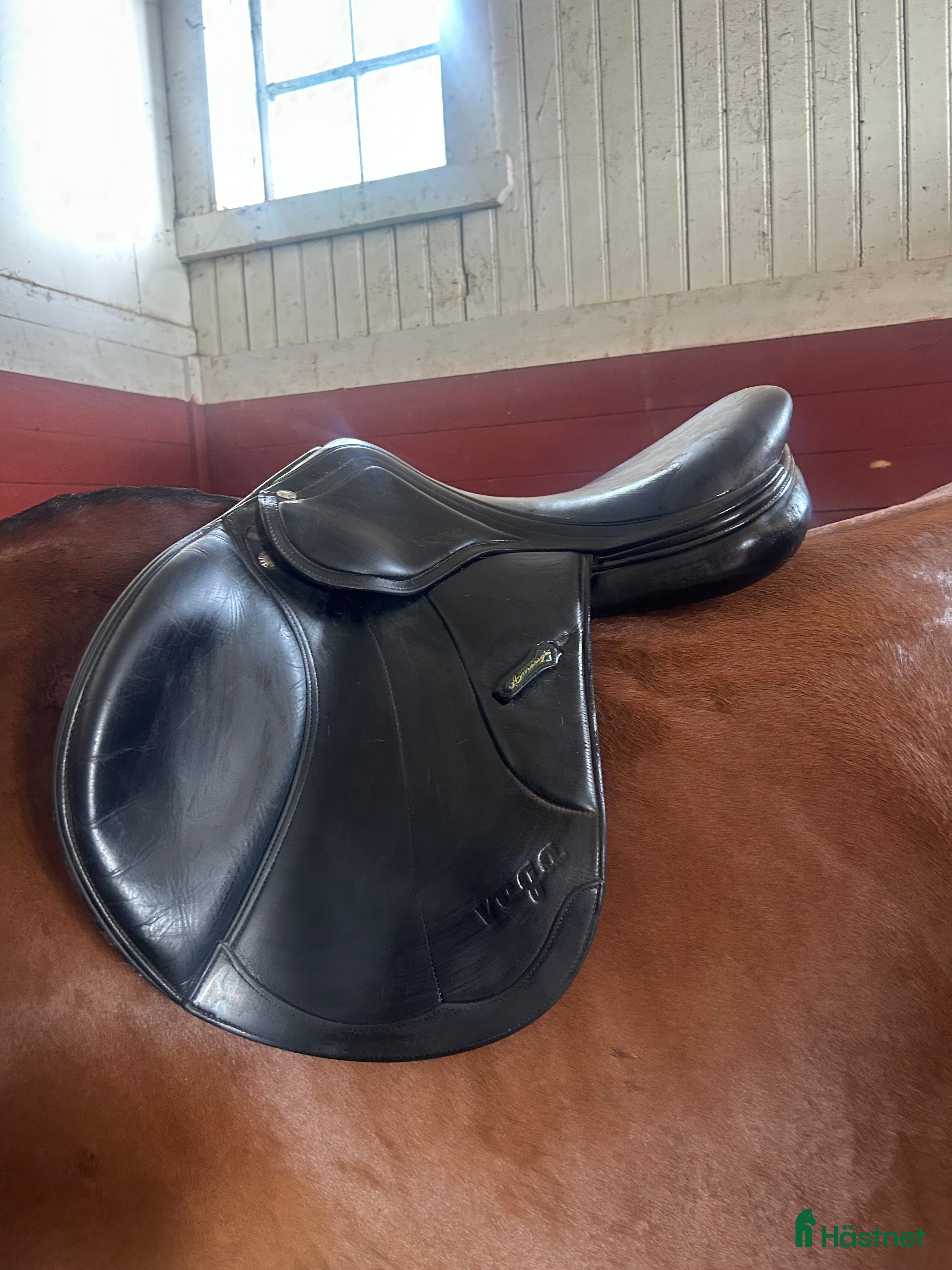 Sadlar hästutrustning till salu: Amerigo Vega jump  i Stockholm - Annons 13