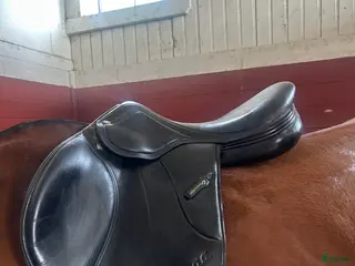 Sadlar hästutrustning till salu: Amerigo Vega jump - Annons 4