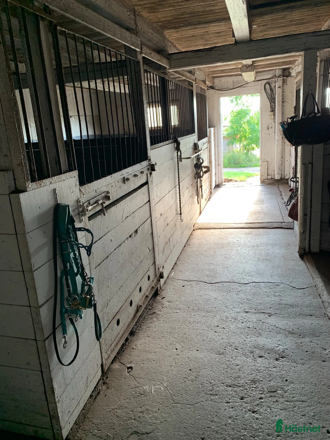  stallplats finnes: Ledig boxplats i Säve i Säve - Annons 2