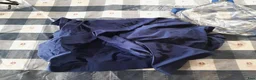 Täcken hästutrustning till salu: Arabhäst hoodie Medium / Cob mkt fint skick - Annons 6
