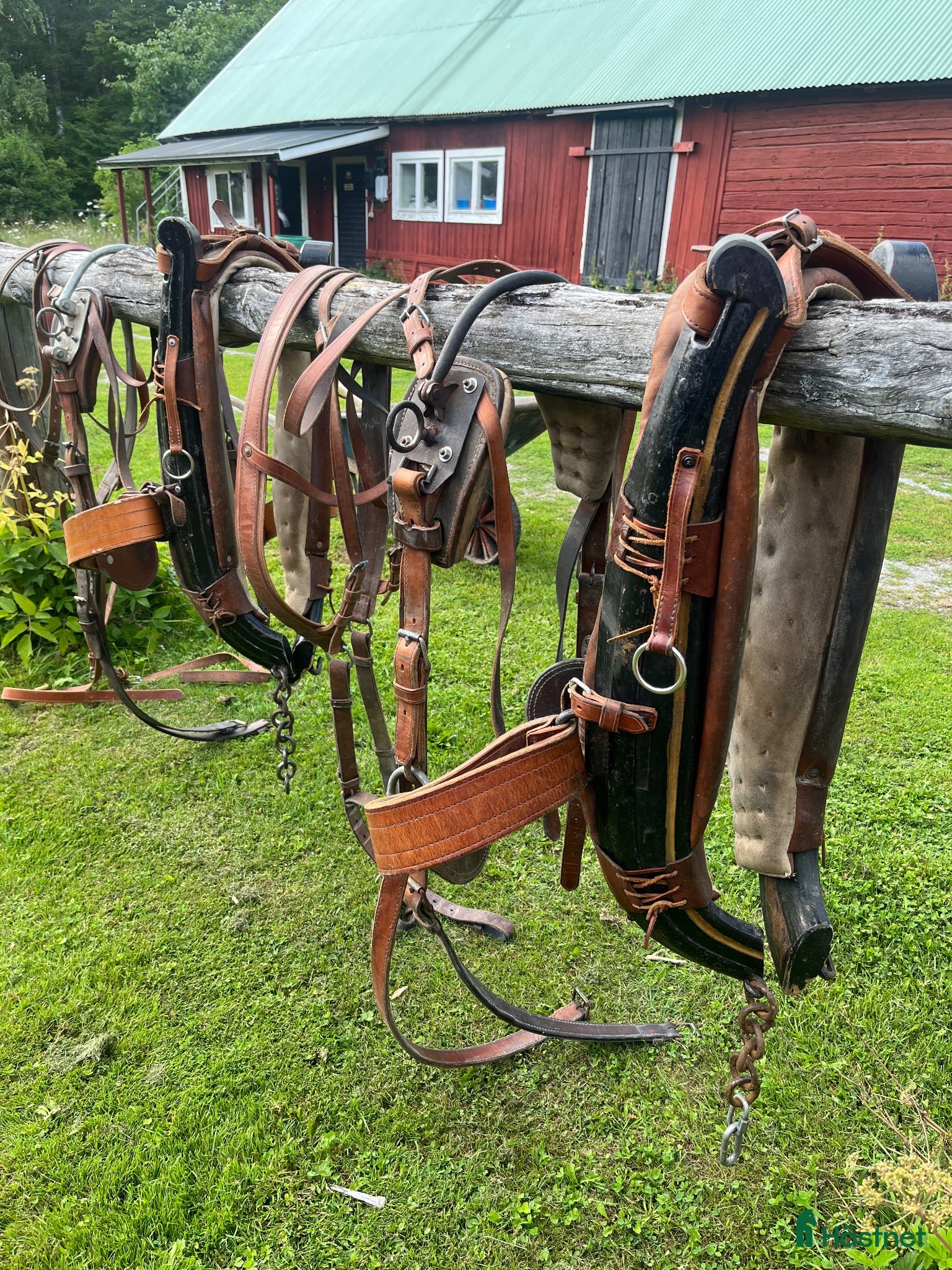 Körselar körning till salu: 2 st finnselar - Annons 7