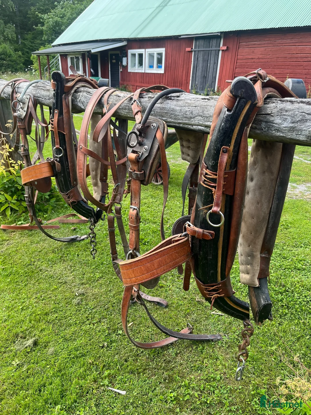 Körselar körning till salu: 2 st finnselar - Annons 1