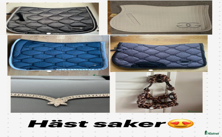 Övrig Hästutrustning hästutrustning till salu i Kungälv - Annons 17