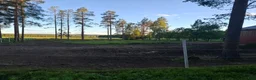  stallplats finnes: Lösdriftsplatser finns i Skellefteå  - Annons 3
