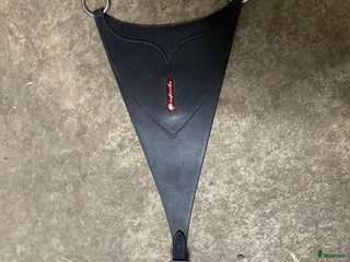 Sadeltillbehör hästutrustning till salu: Equipe martingalplatta/BIB i Flyinge - Annons 5