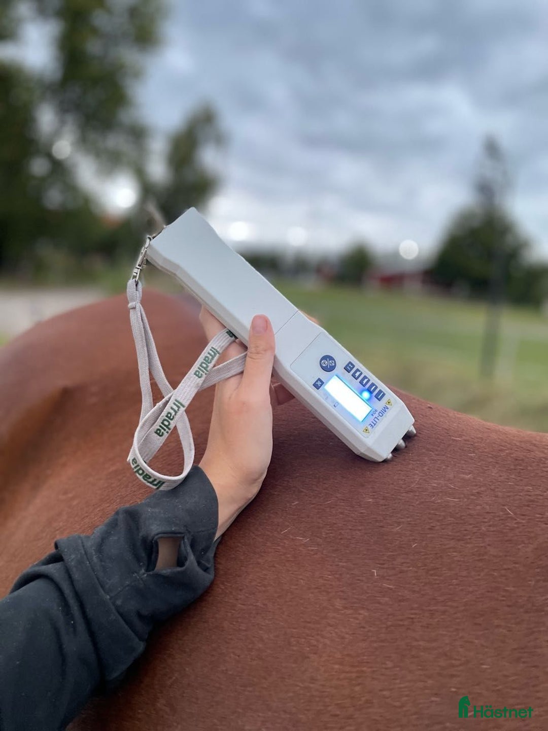  hästservice finnes: Rehabstall i Nyköping - Annons 3