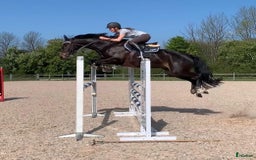  stallplats finnes: Boxplatser lediga utanför Vellinge🙂 i Vellinge - Bild 3