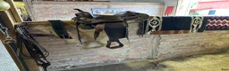Sadlar hästutrustning till salu: Komplett western set - Annons 2