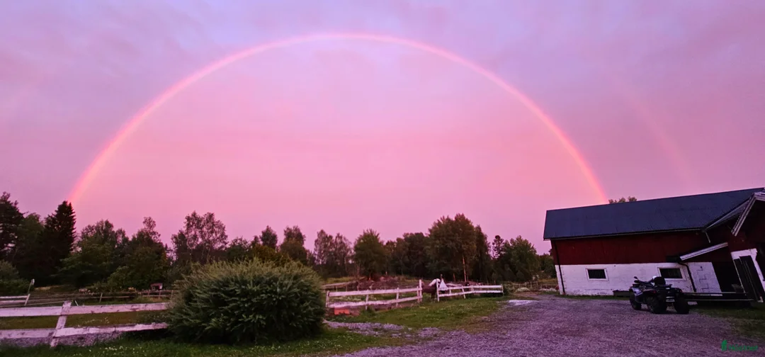  stallplats finnes: Lediga stallplatser i Almunge, Uppsala i Almunge - Annons 1