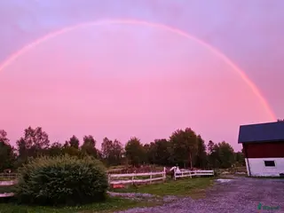 stallplats Lediga stallplatser i Almunge, Uppsala i Almunge - Annons 15