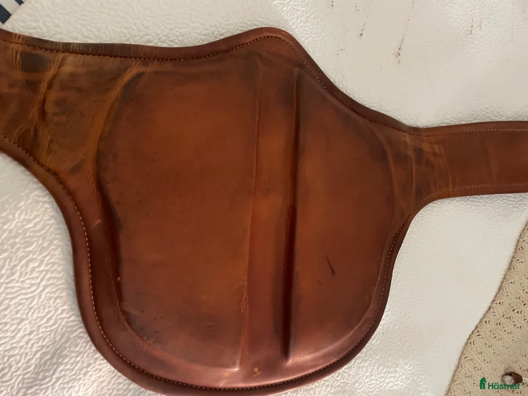 Sadeltillbehör hästutrustning till salu: Renaissance magplatta i Ingarö - Annons 3