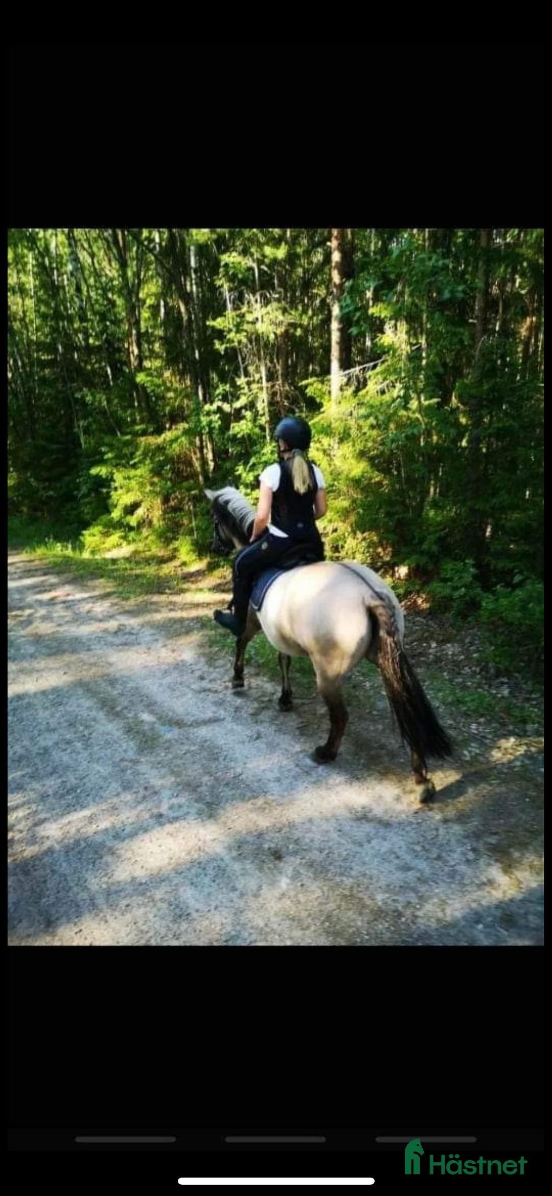 Allround hästar till salu: En bästavän i Valbo - Annons 6