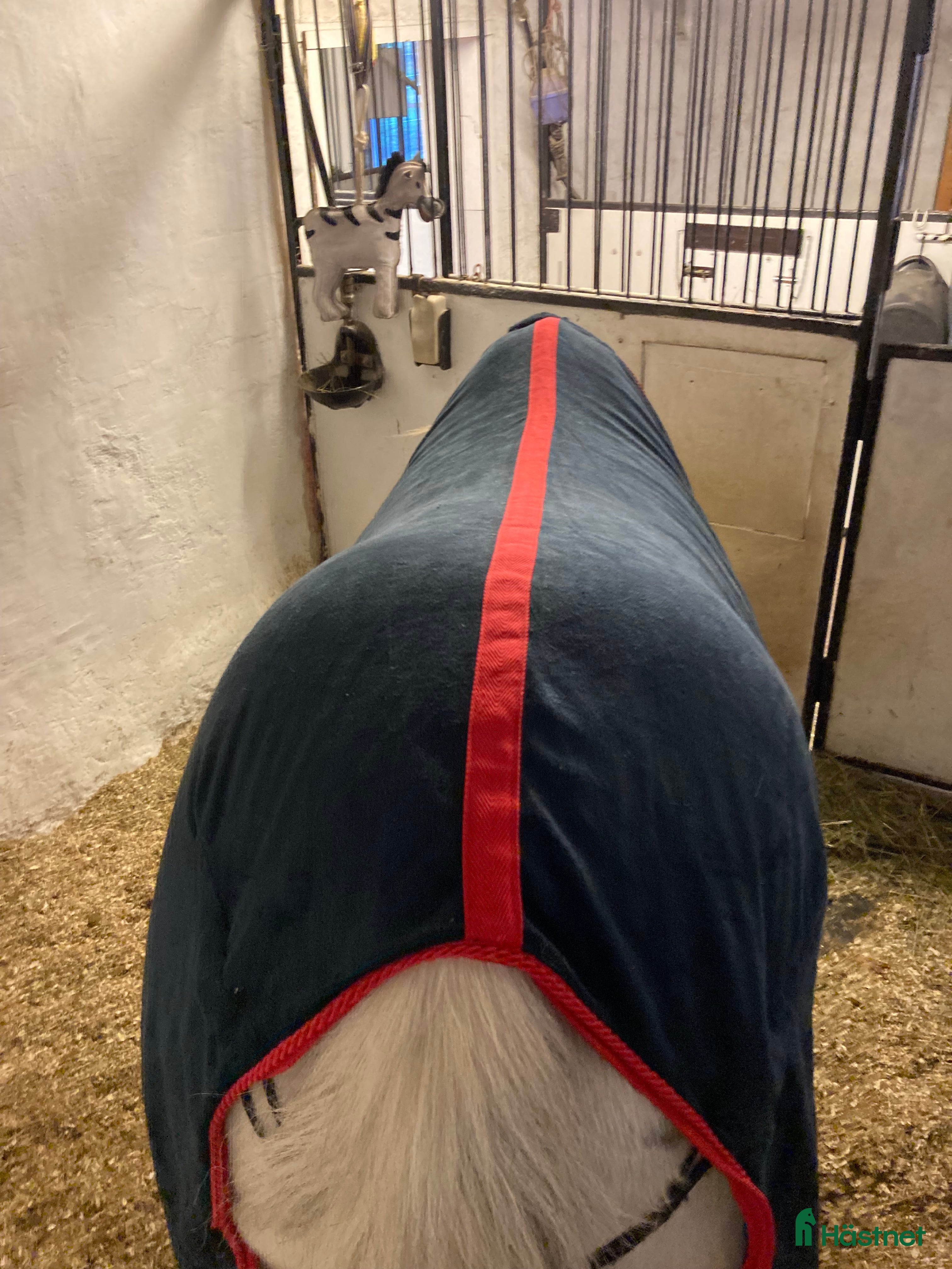 Täcken hästutrustning till salu: Blått fleece täcke  i Alnö - Annons 19