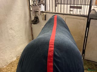 Täcken hästutrustning till salu: Blått fleece täcke i Alnö - Annons 1