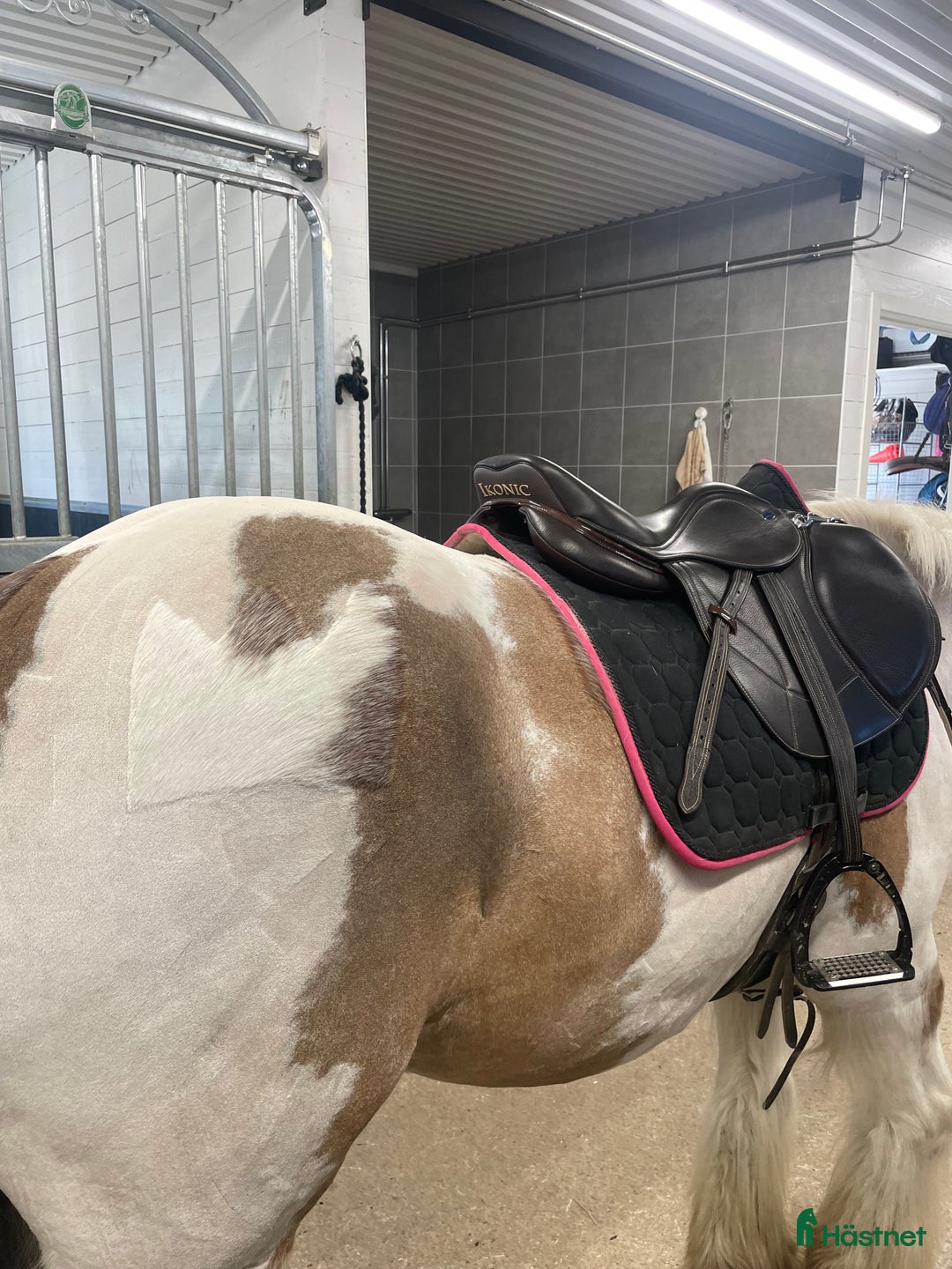 Sadlar hästutrustning till salu: ikonic sadel i Haparanda - Annons 3