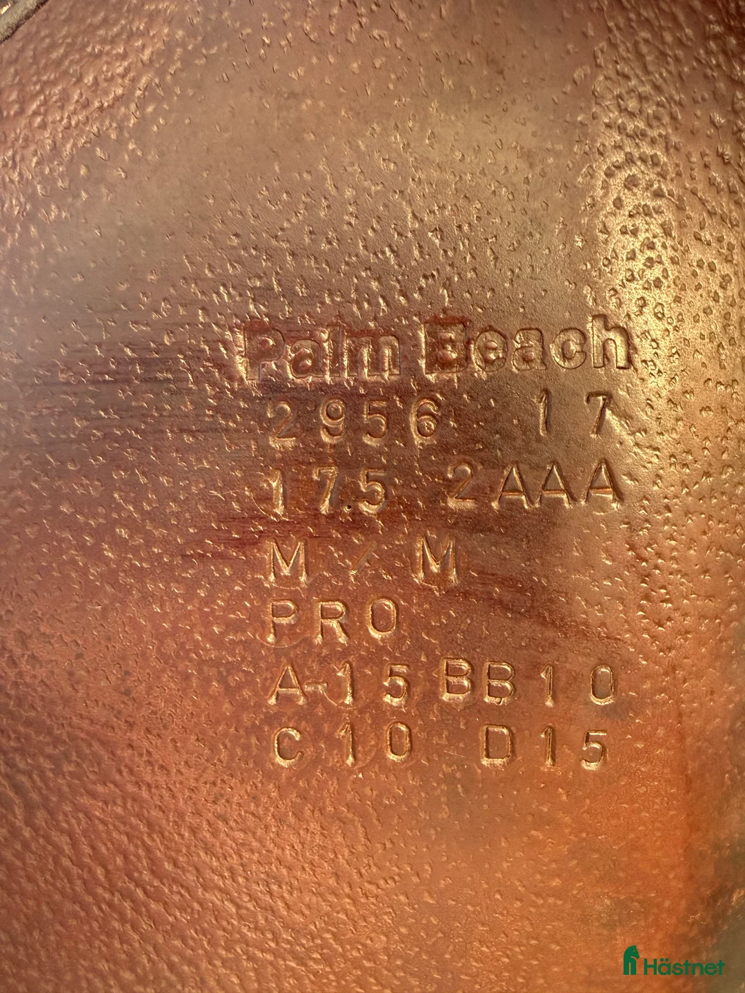 Sadlar hästutrustning till salu: Voltaire - Annons 5