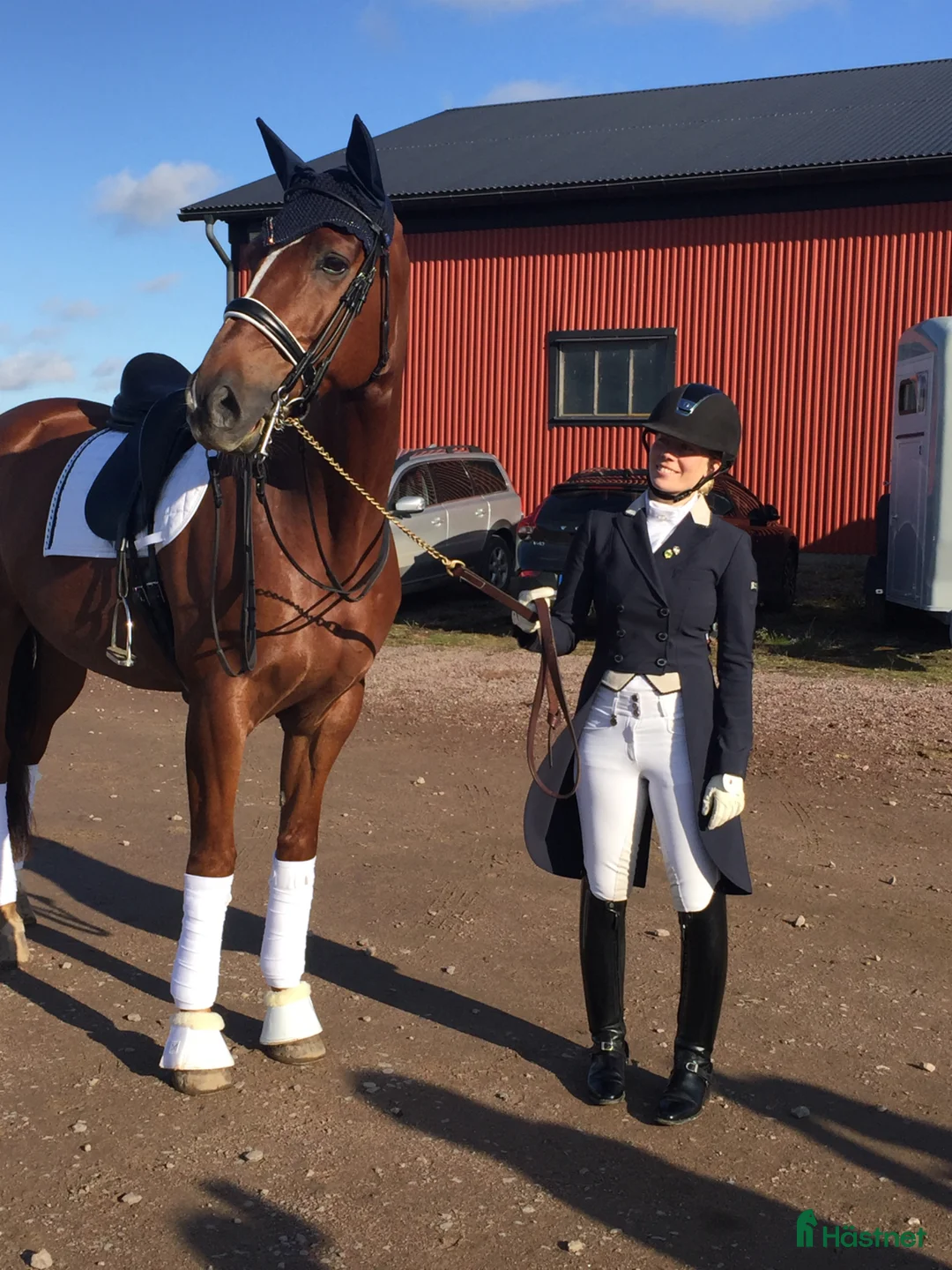 Jackor & Kavajer ryttarutrustning till salu: Frack Equiline  - Annons 4