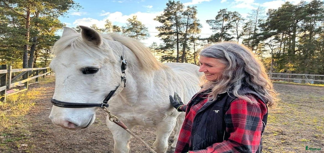 Galleribild {{count}}