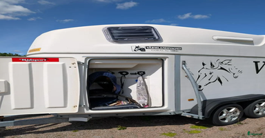 Hästtransporter  fordon & transport till salu i Avesta - Annons 9