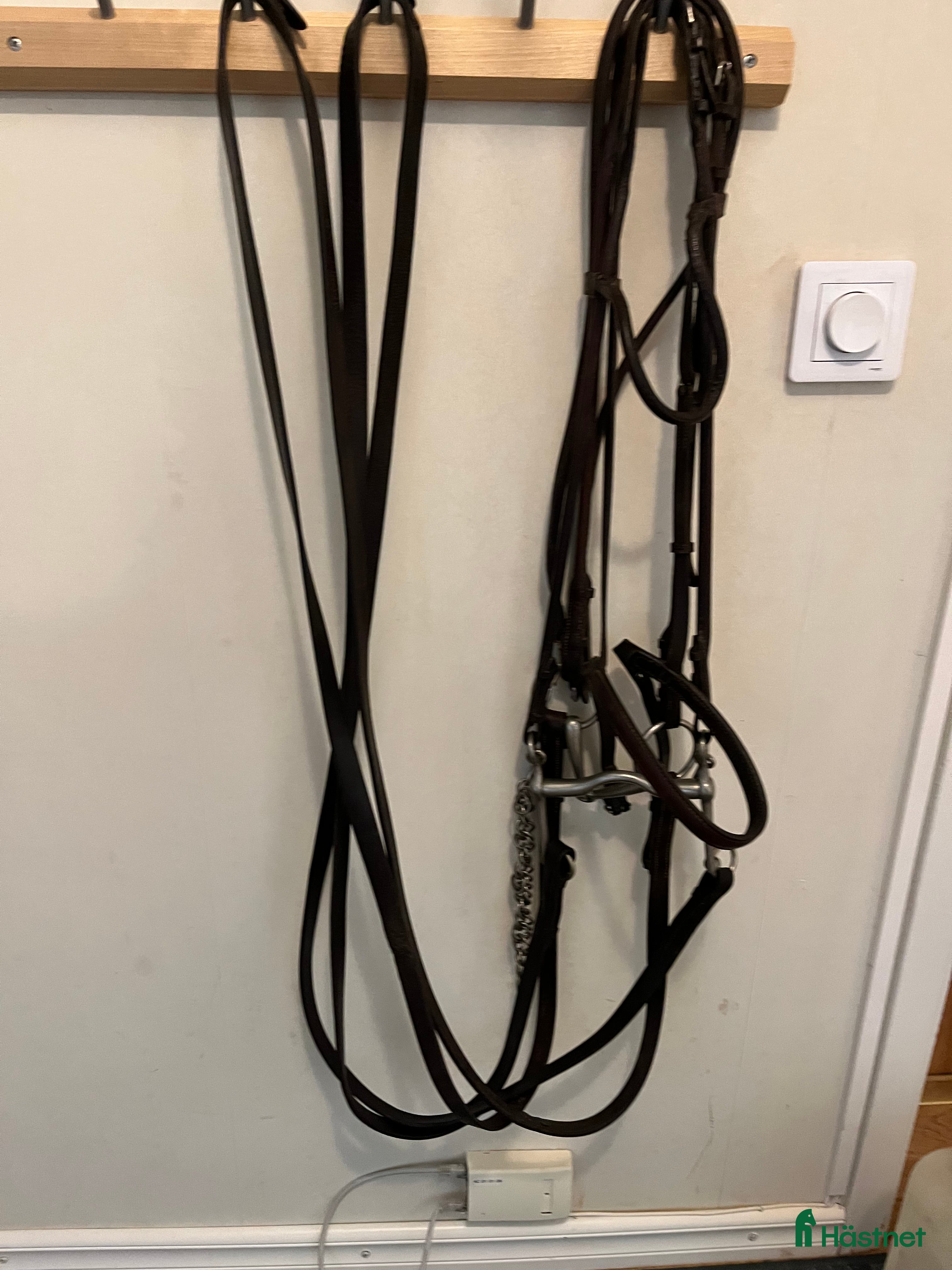 Träns hästutrustning till salu: Gammalt kandar i Västerås - Annons 14