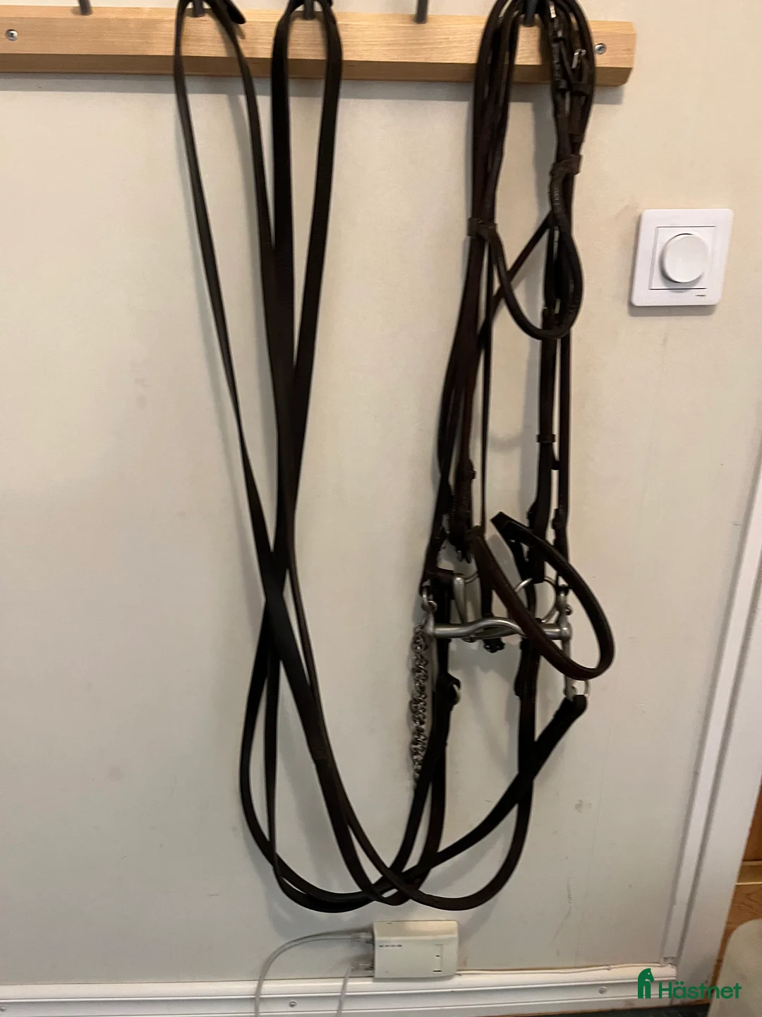 Träns hästutrustning till salu: Gammalt kandar i Västerås - Annons 1