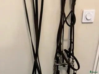 Träns hästutrustning Gammalt kandar i Västerås - Annons 12