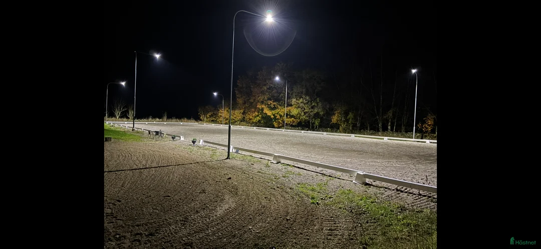  stallplats finnes: Boxplats i Hörby - Annons 2