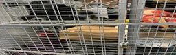Övrig Hästutrustning hästutrustning till salu: Bandade saker  - Annons 2