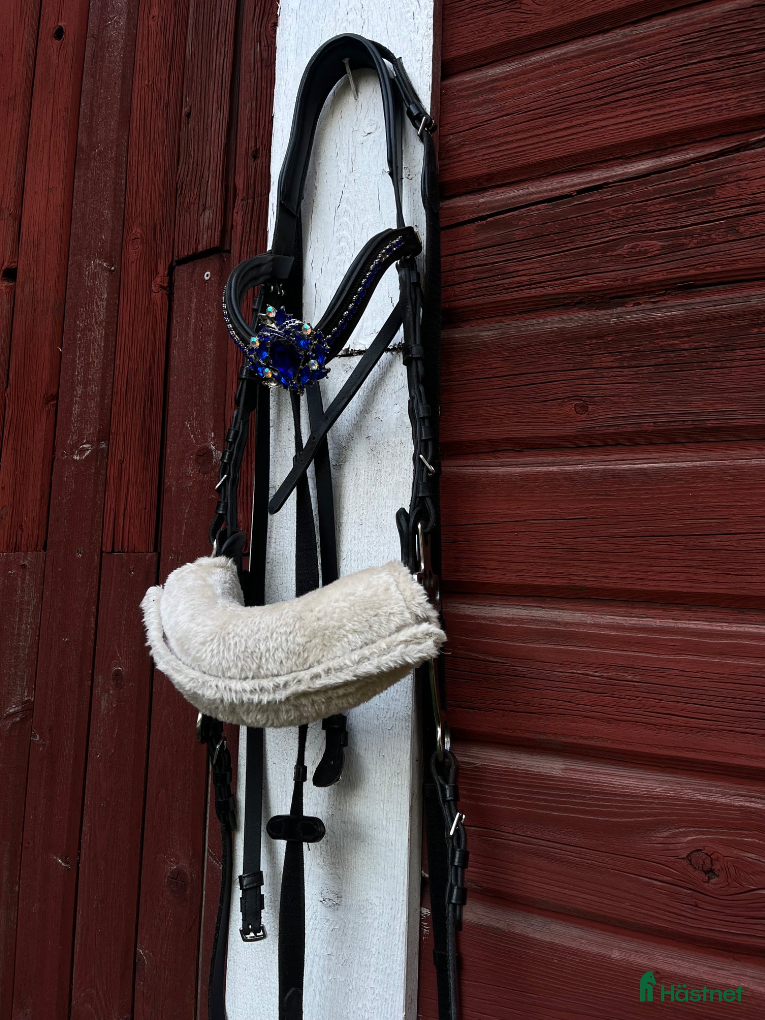 Träns hästutrustning Hackamore - Annons 1