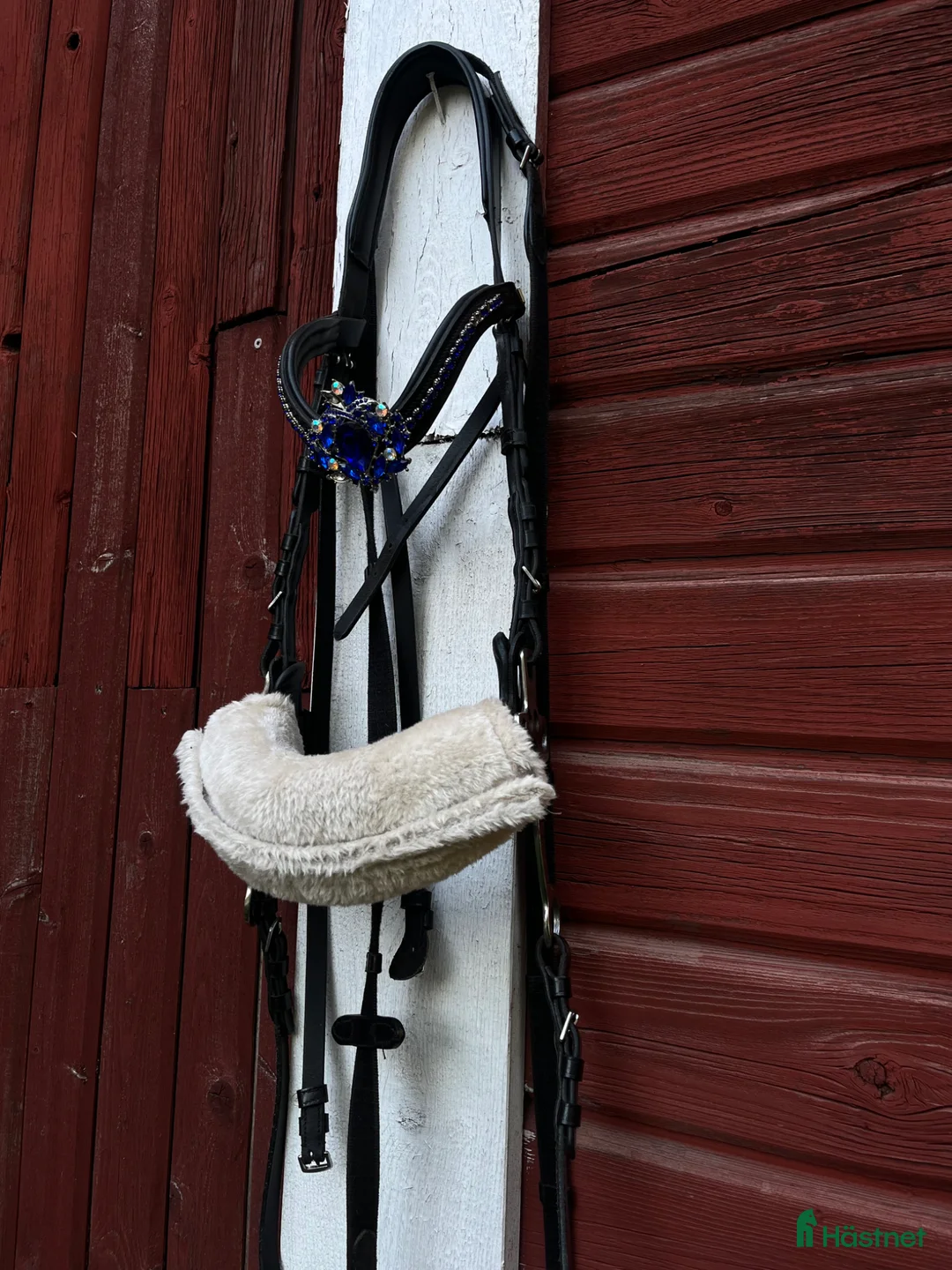 Träns hästutrustning till salu: Hackamore i Hudiksvall - Annons 1