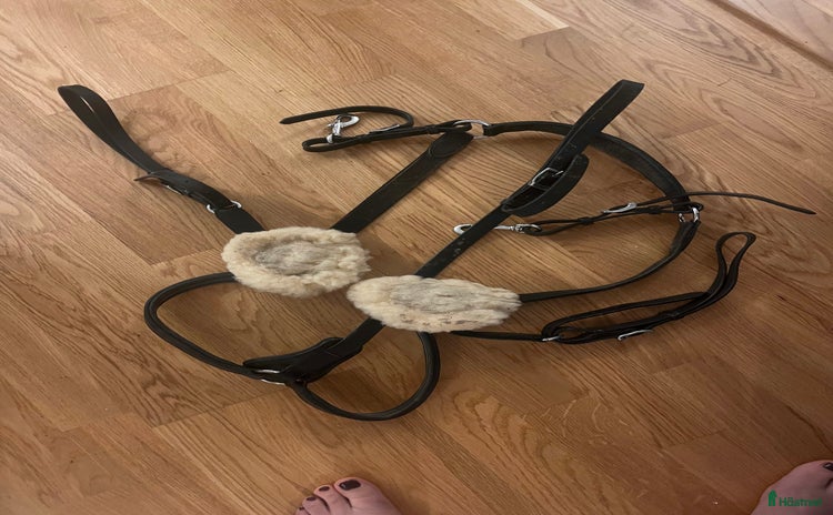 Sadeltillbehör hästutrustning till salu: Förbygel Fairfield i Söderby - Annons 2