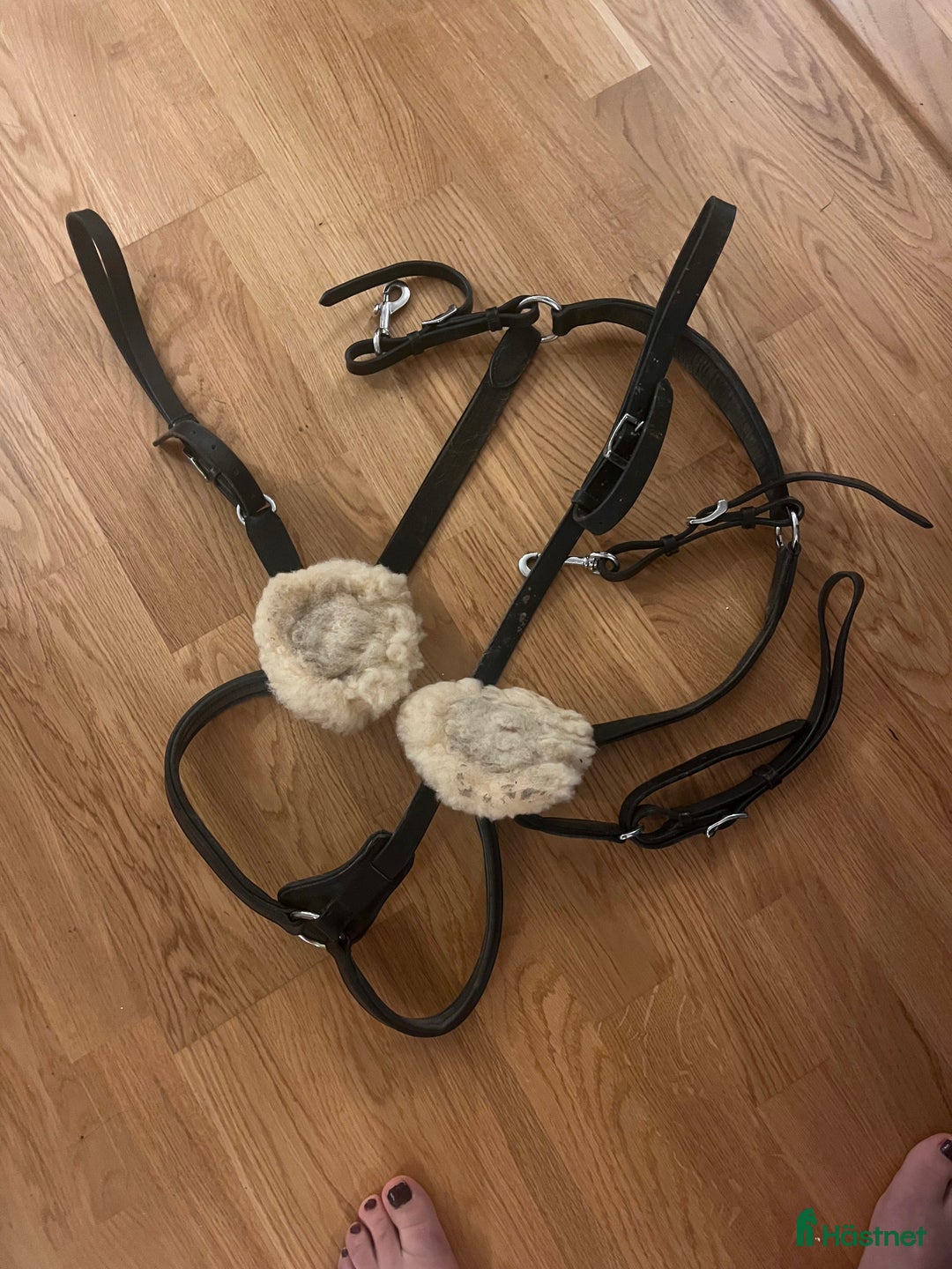 Sadeltillbehör hästutrustning till salu: Förbygel Fairfield i Söderby - Annons 1