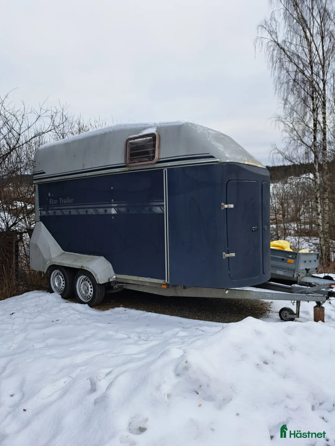 Hästtransporter  fordon & transport till salu: Star x 3000 år2005 - Annons 1