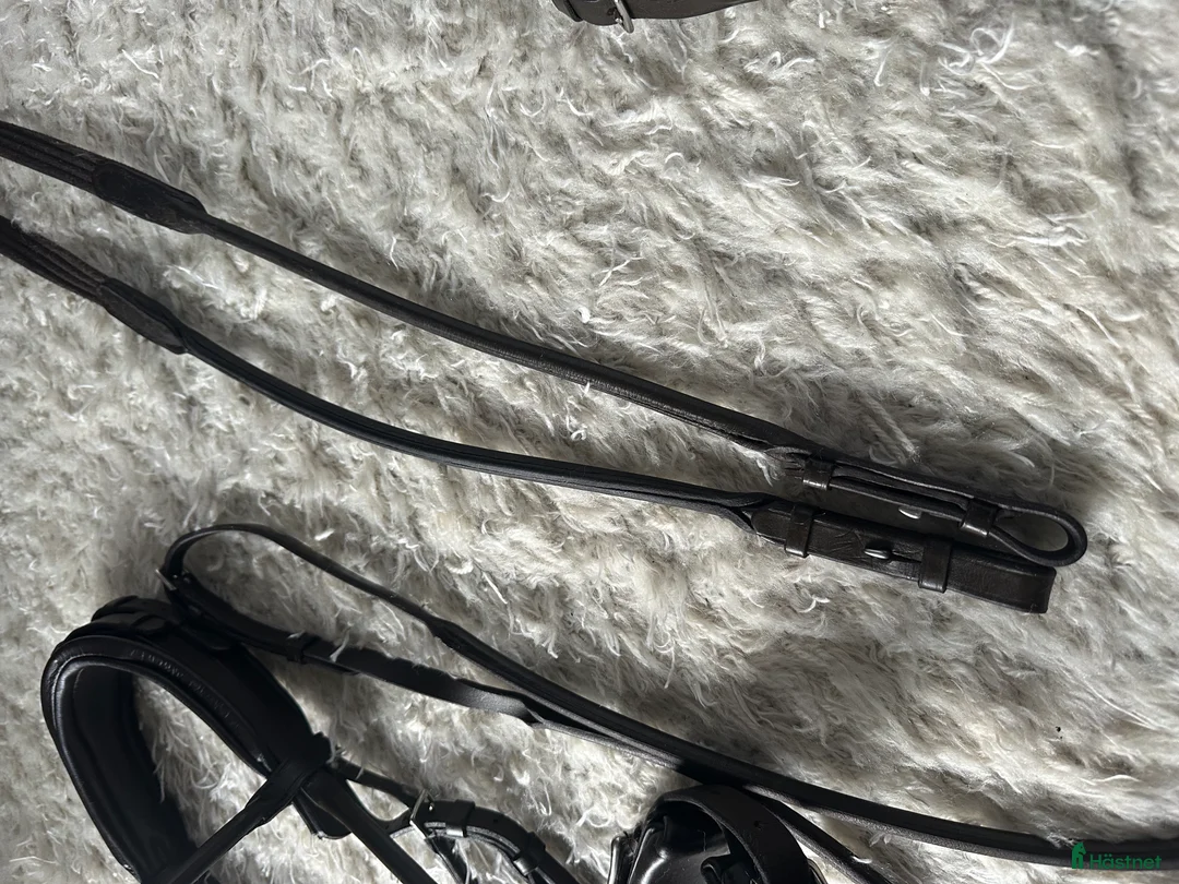 Träns hästutrustning till salu: Otto Schumacher - rundsytt träns i Stockholm - Annons 11