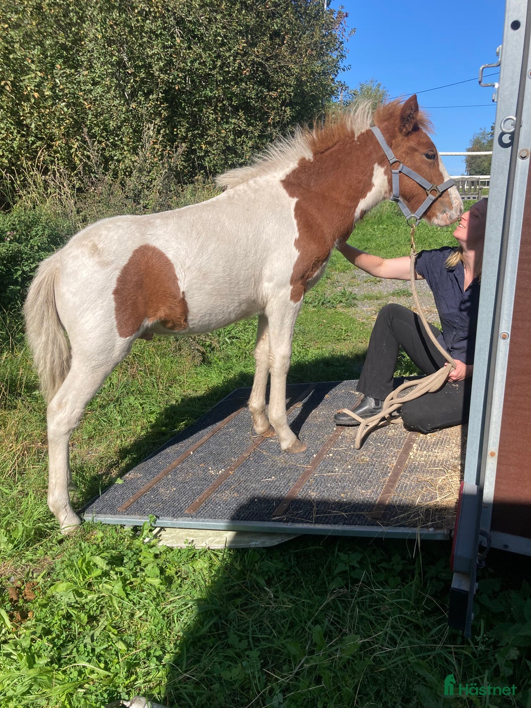  hästservice finnes: Lektioner/lämna häst på träning i Åkersberga - Annons 4