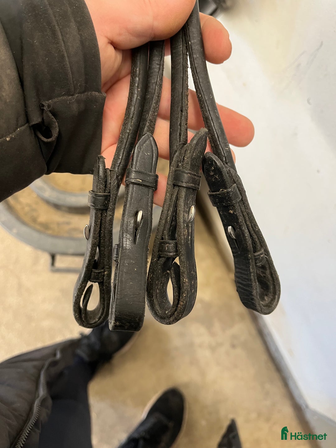 Träns hästutrustning till salu: Kandar  i Skellefteå - Annons 5