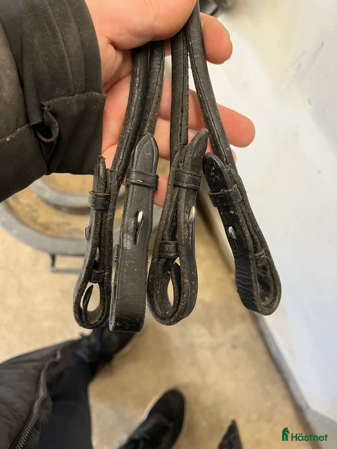 Träns hästutrustning till salu: Kandar  i Skellefteå - Annons 5