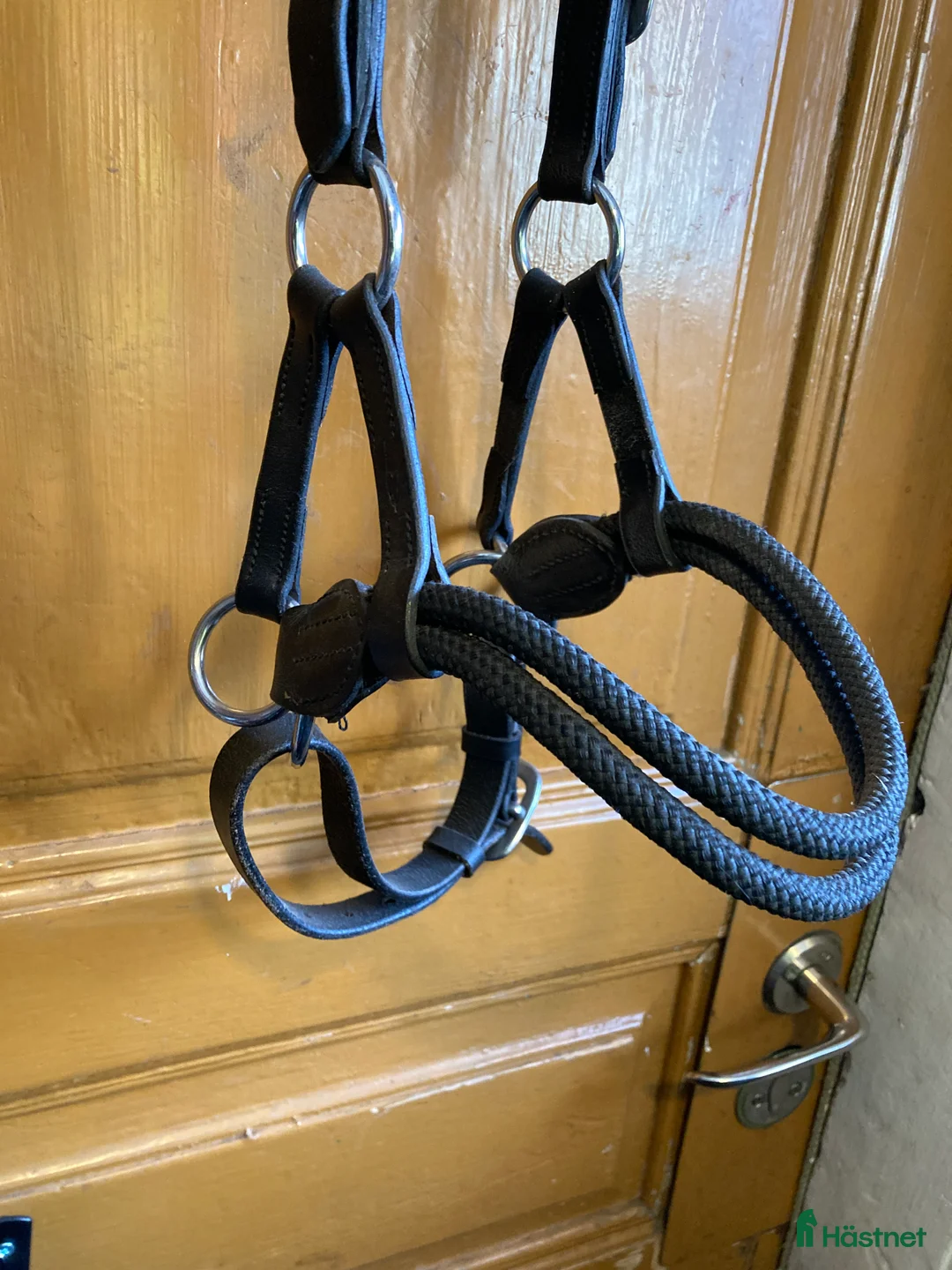 Träns hästutrustning till salu: Bettlöst kombiträns  - Annons 2