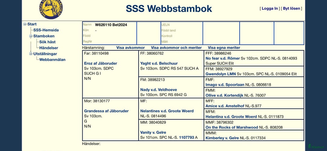 Allround hästar till salu: Vackert och trevligt hingstföl i Vetlanda - Annons 3