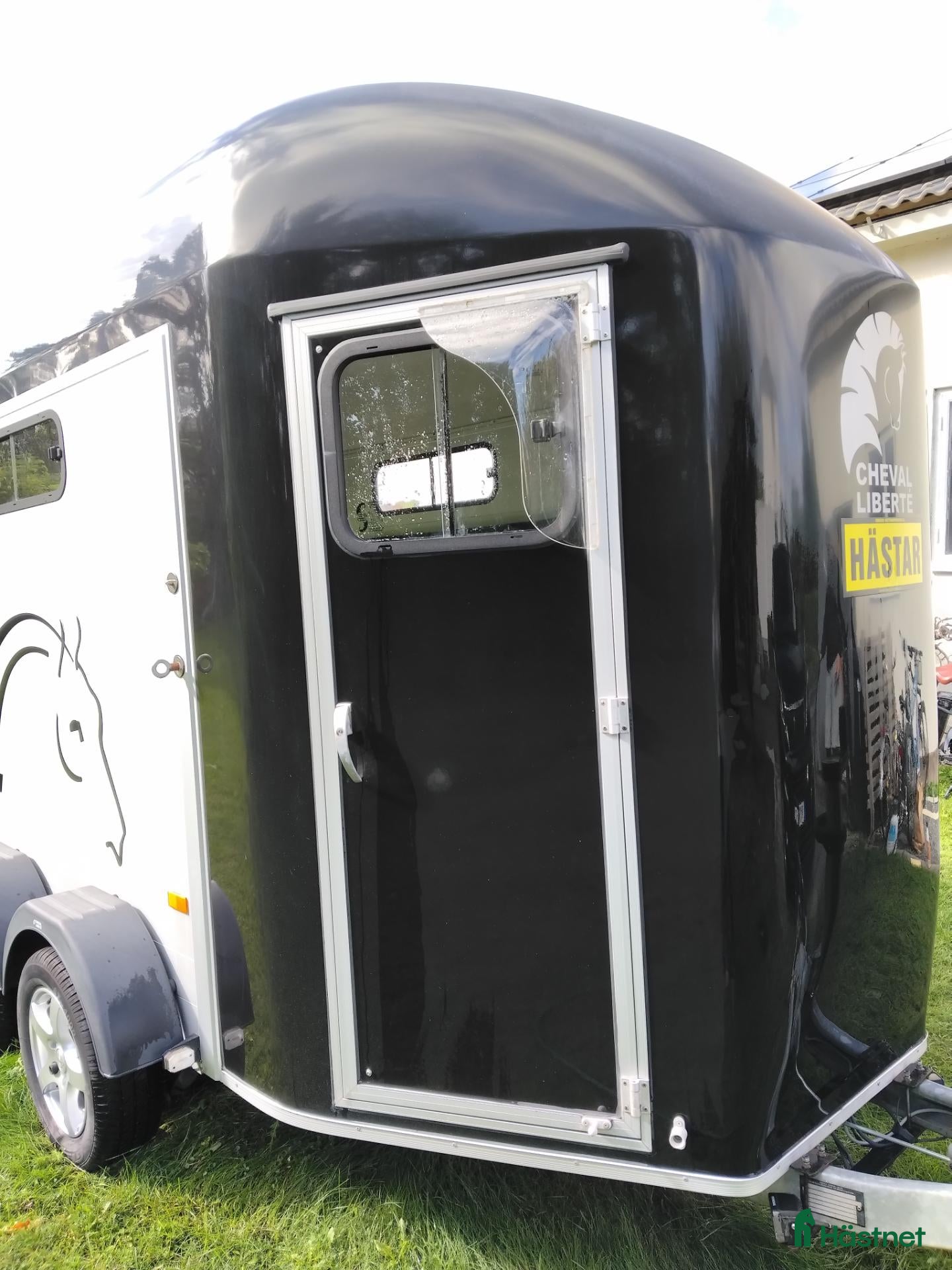 Hästtransporter  fordon & transport till salu: Cheval liberte - Annons 14