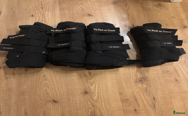 Benskydd hästutrustning till salu i Torhamn - Annons 10