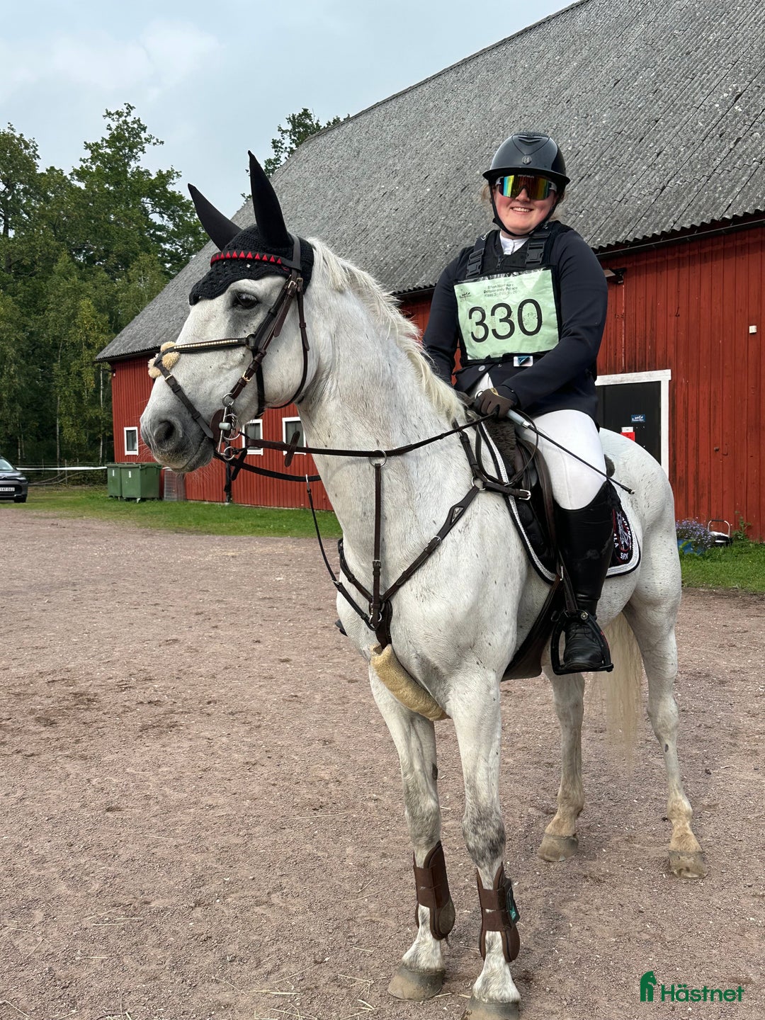 Allround hästar till salu: 🌟Oslipad diamant🌟 i Kinnared - Annons 4