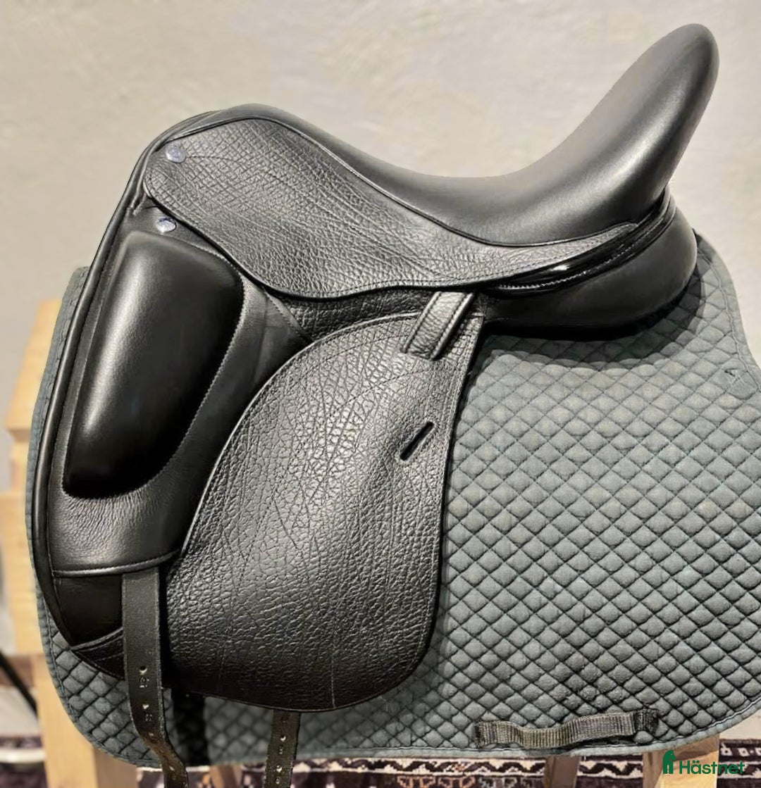 Sadlar hästutrustning till salu: Frank Baines Etude i Söderhamn - Annons 1