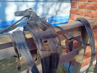 Körselar körning till salu: Enkel sele - Annons 9