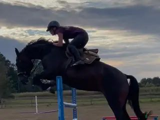 hästar Hoppsto med mycket kapacitet - Annons 16