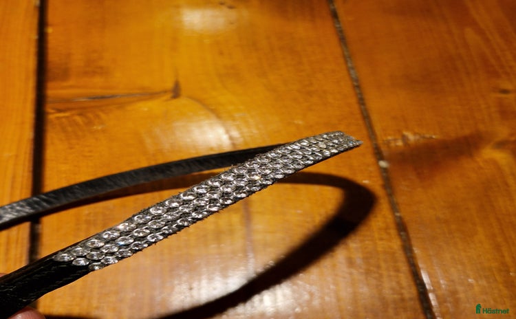 Träns hästutrustning till salu i Vadstena - Annons 2