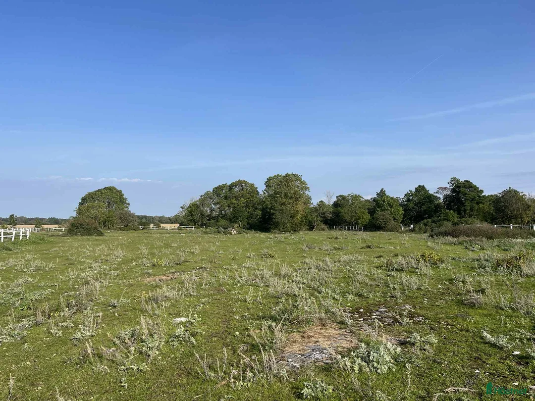  stallplats finnes: Stallplats/lösdrift i Västerhejde, Gotland - Annons 2