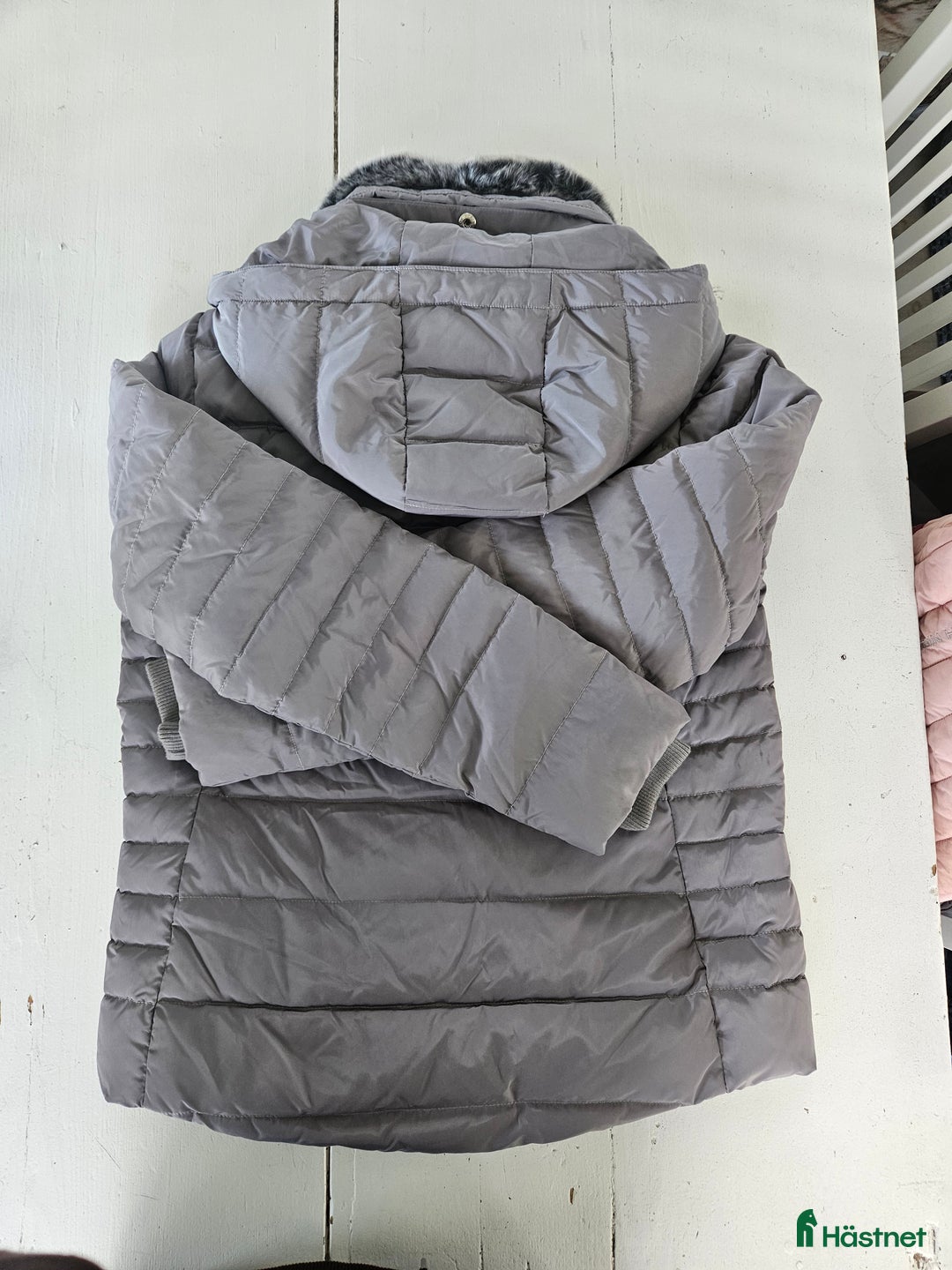 Jackor & Kavajer ryttarutrustning till salu: Ljusgrå höst/vinterjacka från Mountain Horse  i Härnösand - Annons 2