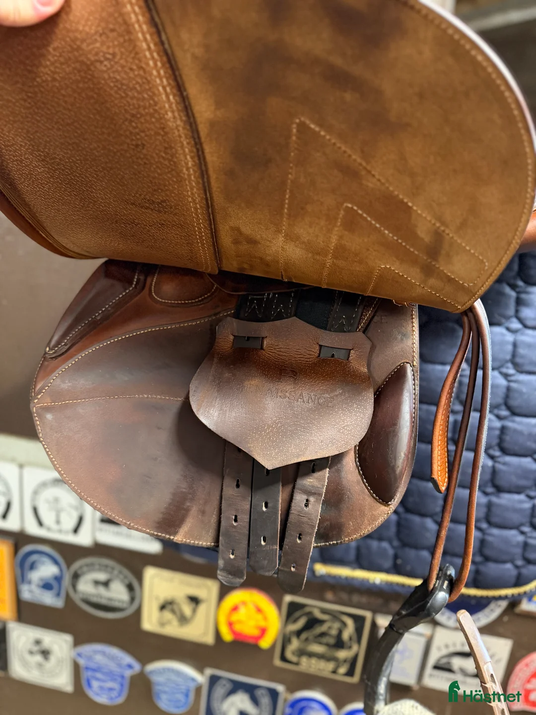 Sadlar hästutrustning till salu: Renaissance i nyskick  - Annons 4